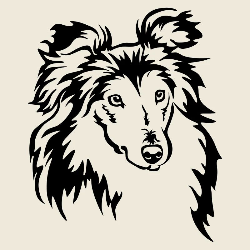 Tête de Sheltie