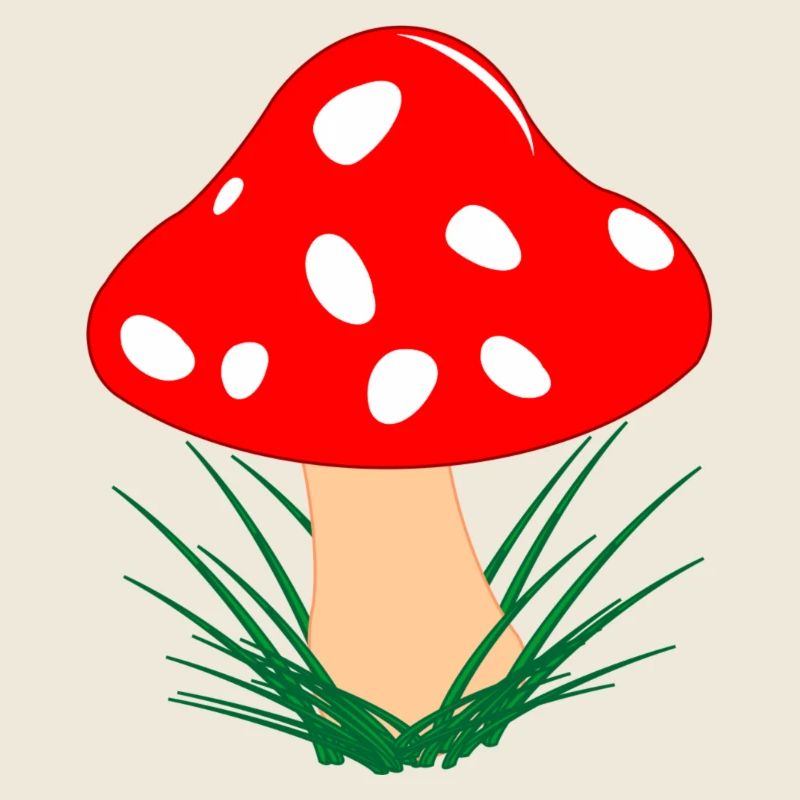 Champignon rouge avec des points blancs Automne