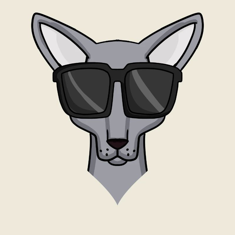 Chat Sphynx avec lunettes de soleil