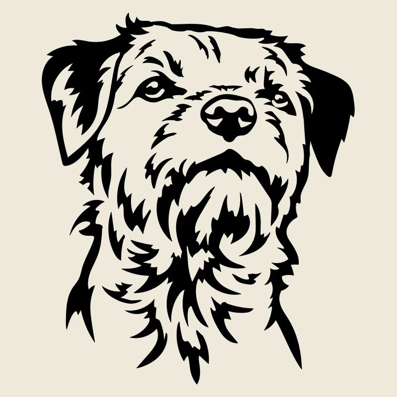 Border Terrier Head
