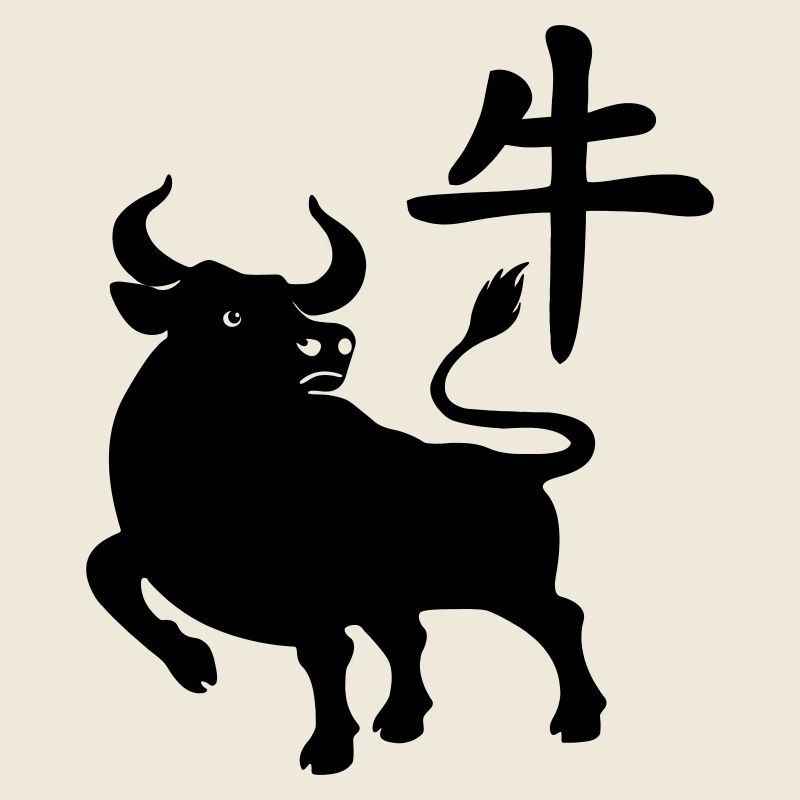 Caractère chinois OS avec image du système d’exploitation, ombre