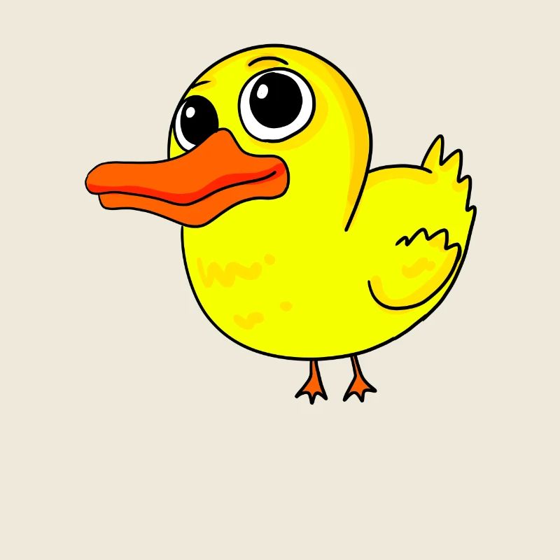 Canard