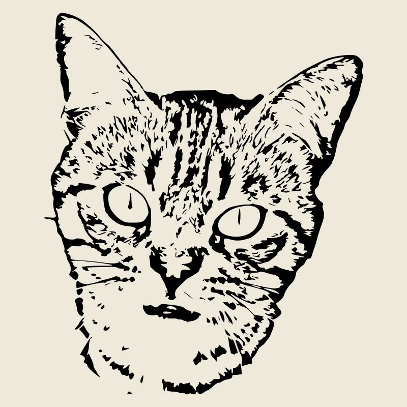 Schwarze Katze Katze Süßes Kätzchen Weihnachtsgeschenk