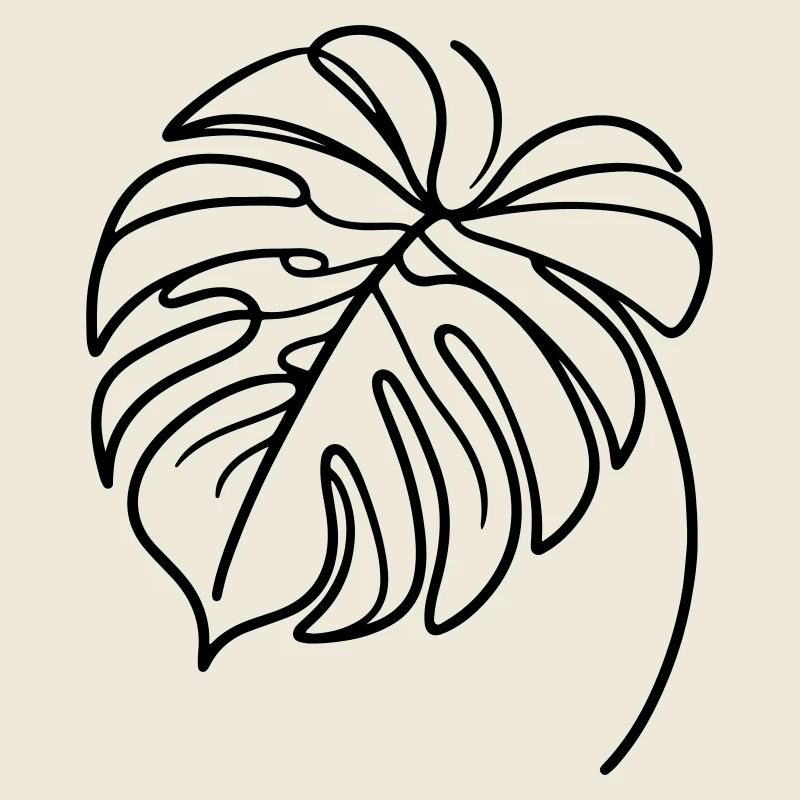 Monstera