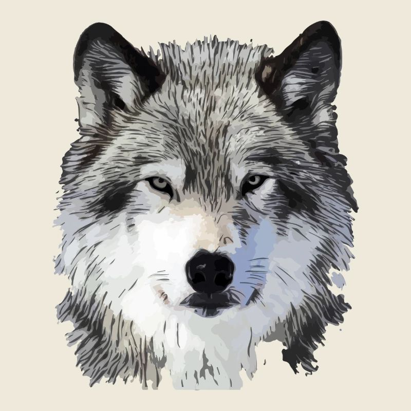 Der Wolf