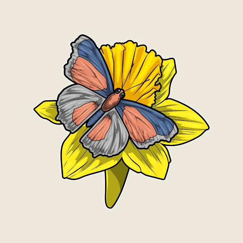 Jonquille papillon