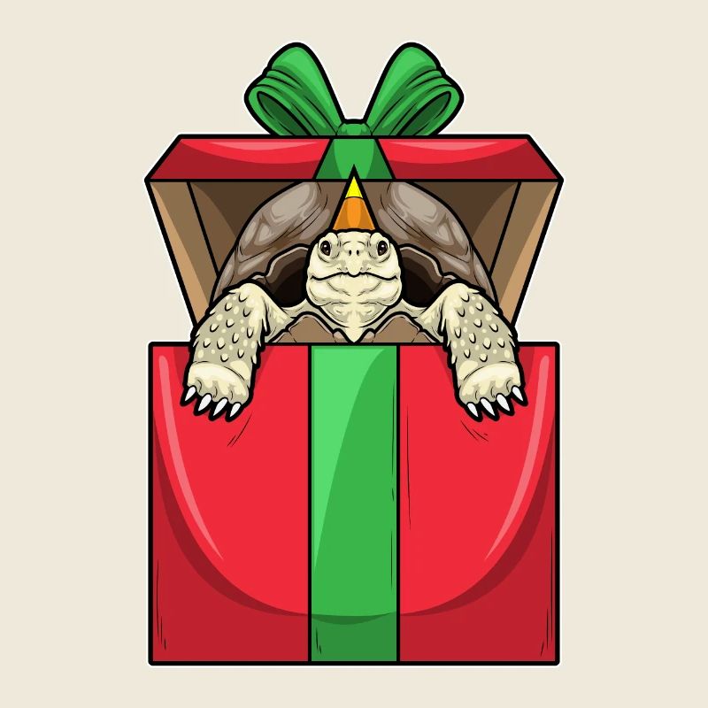Turtle Birthday Package