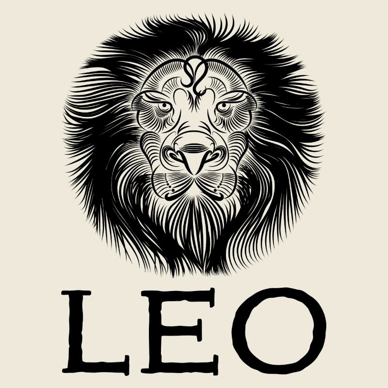 Plan de travail leo1s 1