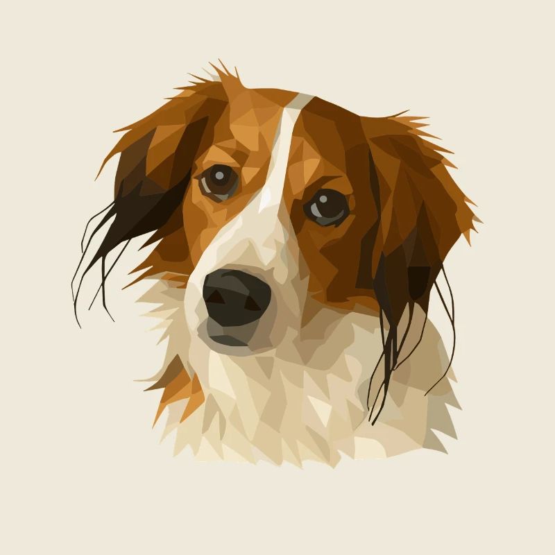 Kooikerhondje en style polygone