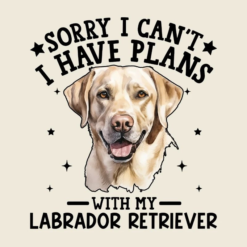 Portrait d'un labrador vivant