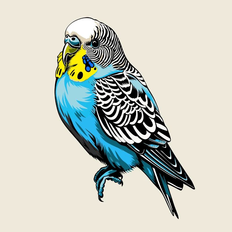 Conception vectorielle de perruche colorée