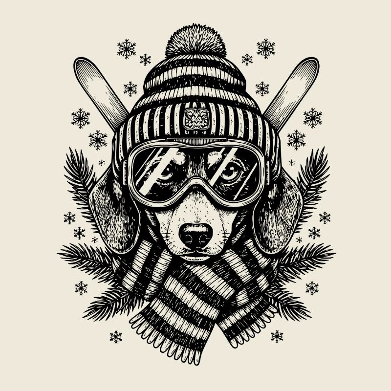 Ski teckel chien ski