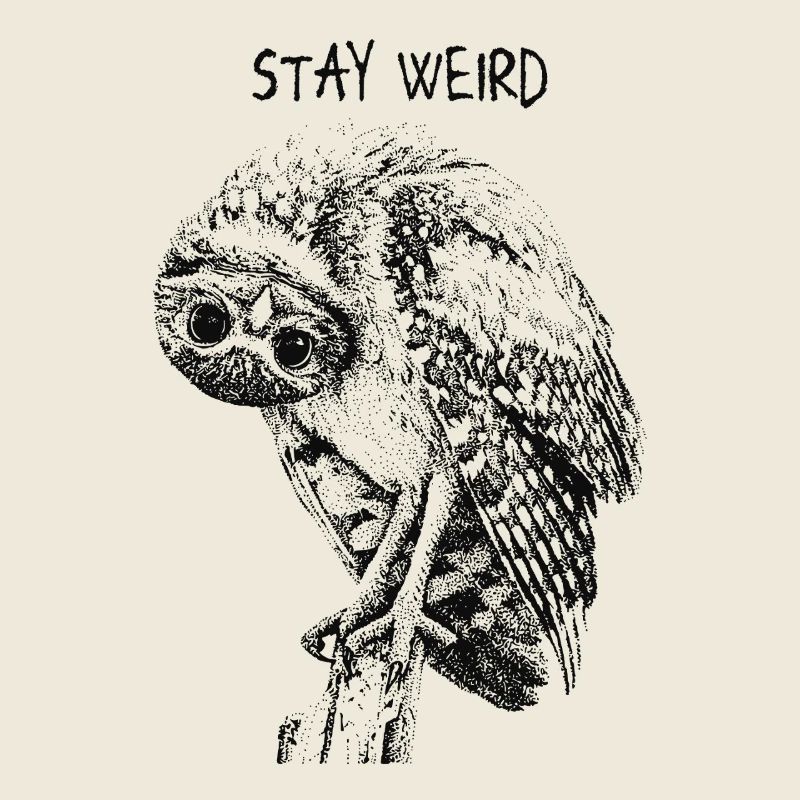 Stay Weird Eule
