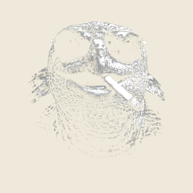 Tortue avec des lunettes de soleil et une cigarette