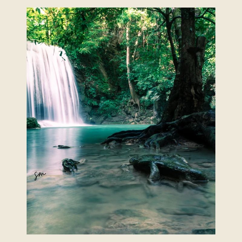 Cascade verte dans la forêt