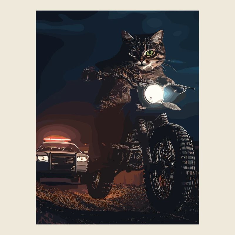 Night cat on motorcycle