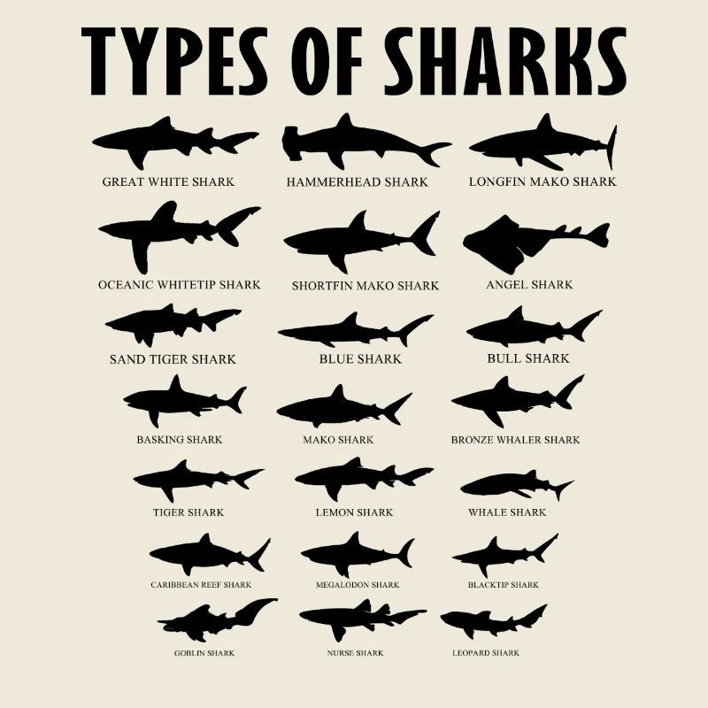 Tableau des types éducatifs d’espèces de requins
