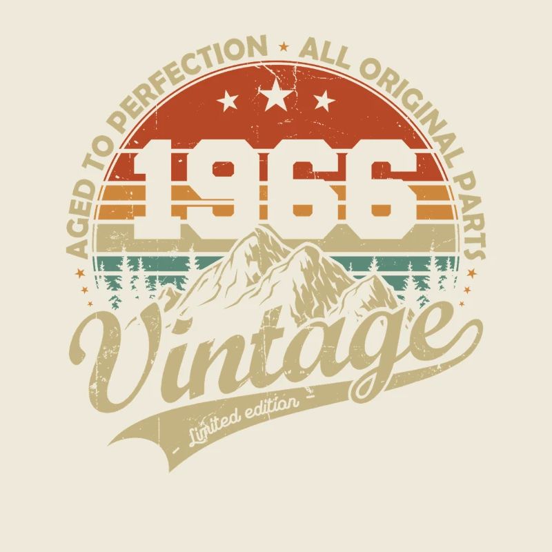 1966 Vintage Original Retro Birthday Gift