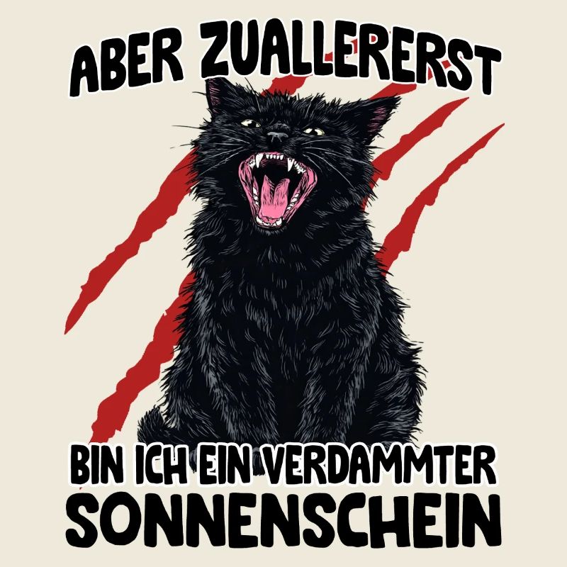 Schwarze Katze Goblin Mode aggressive Katze Zoomie