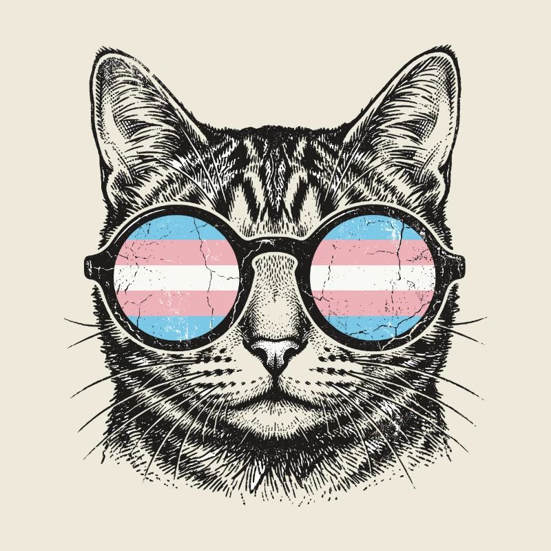 LGBT-Pride-Monat – Trans-Pride-Katze