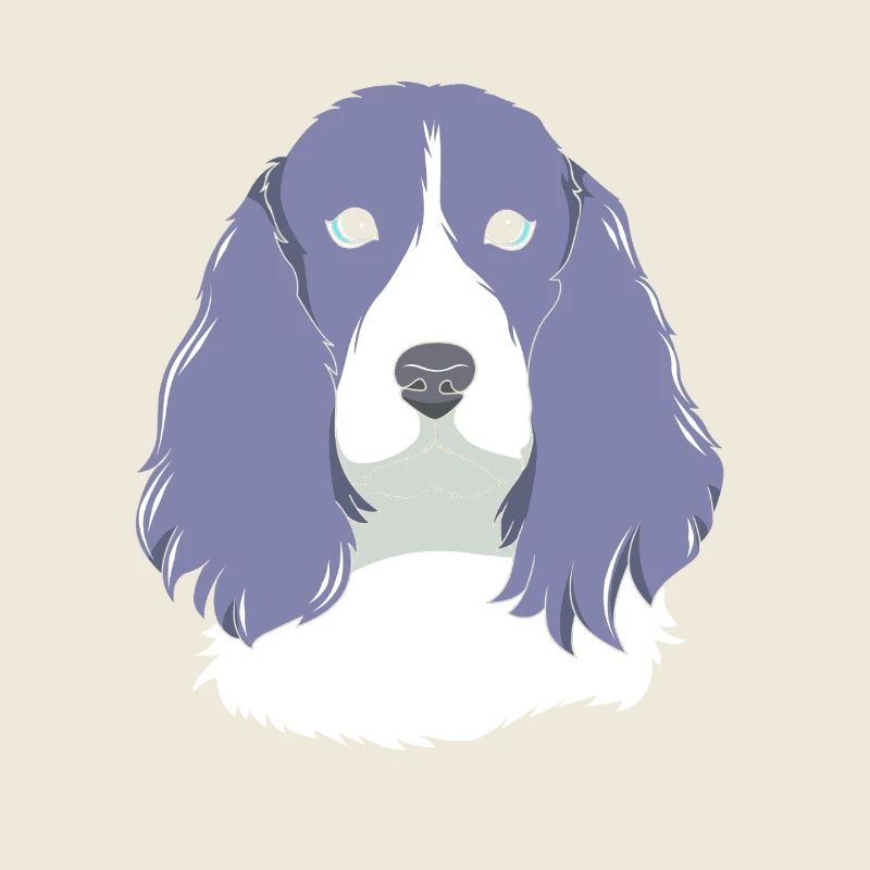 Springer Spaniel