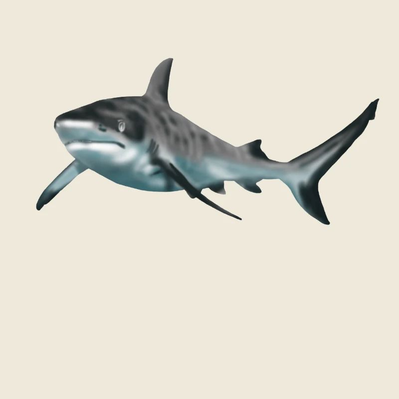 requin