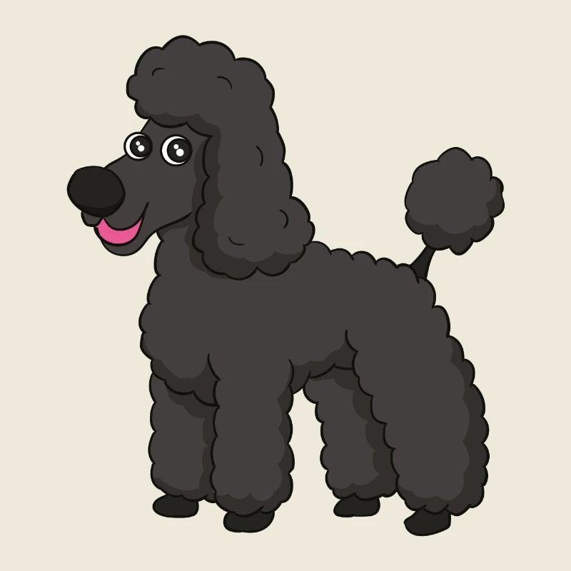 caniche doux