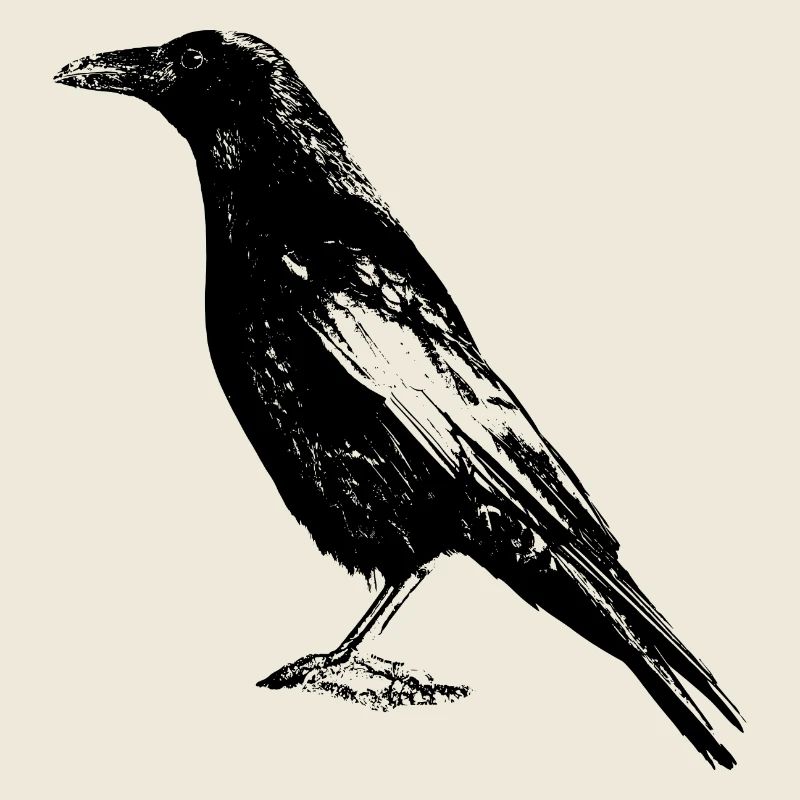 Crow