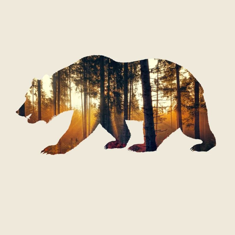 bear
