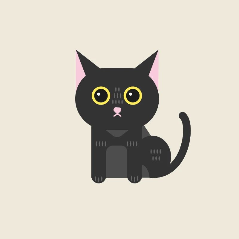 Chat noir chaton chat