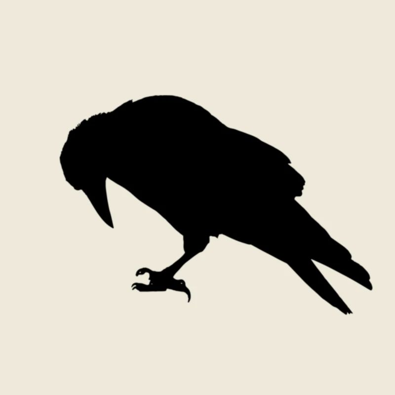 Crow