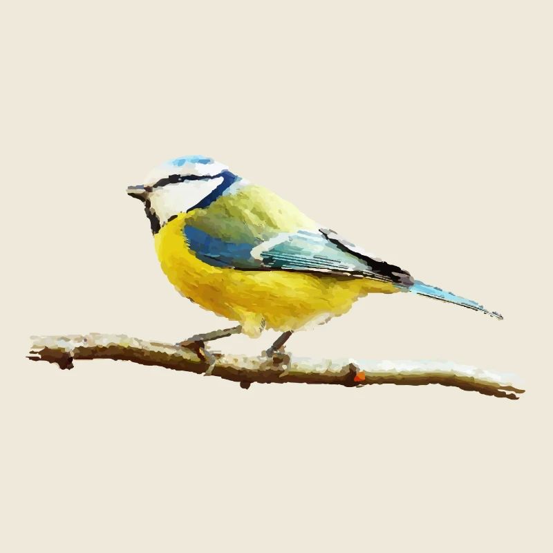Titmouse