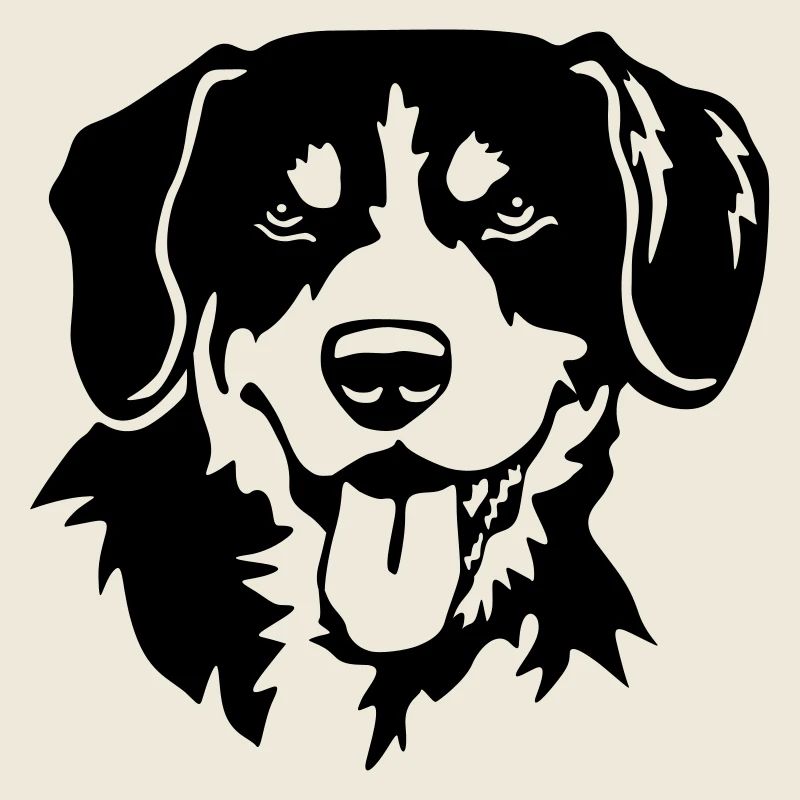 Entlebuch mountain dog head