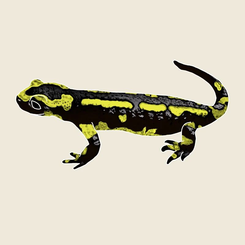 Fire salamander