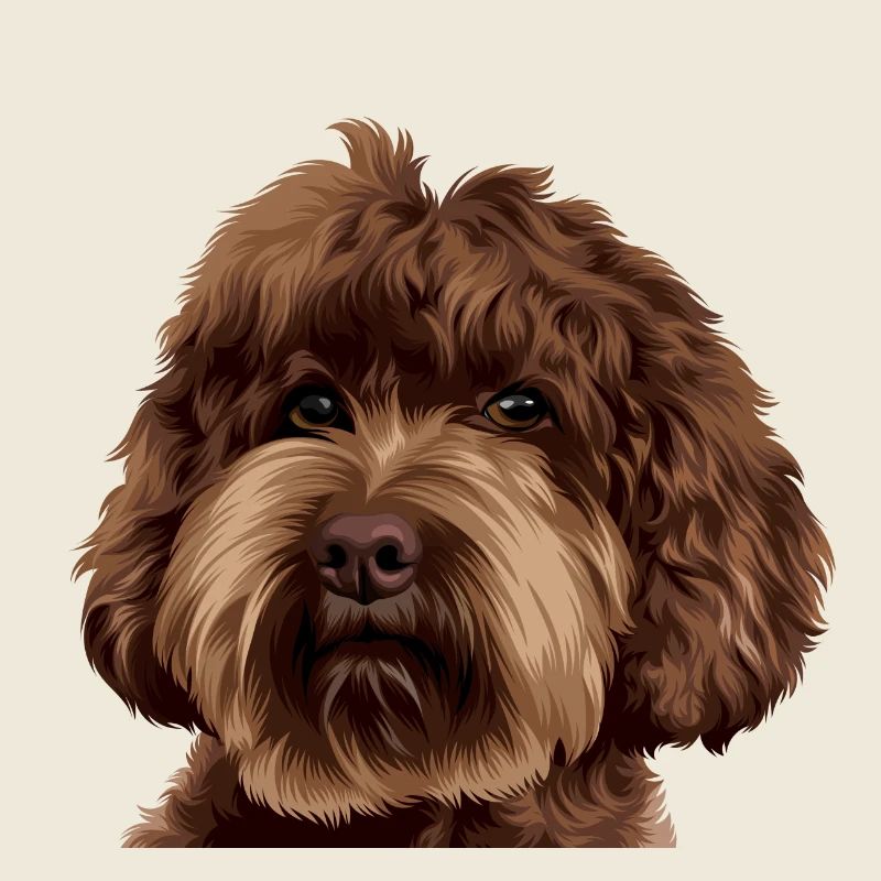 Schnoodle Doodle Dog