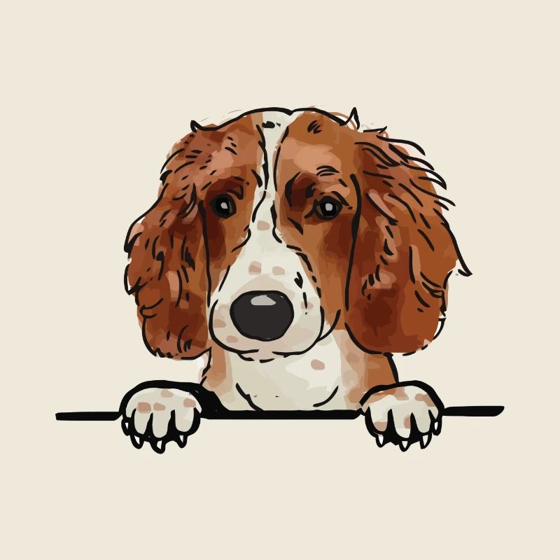 Welsh Springer Spaniel Dog for Peeking Dog Lovers