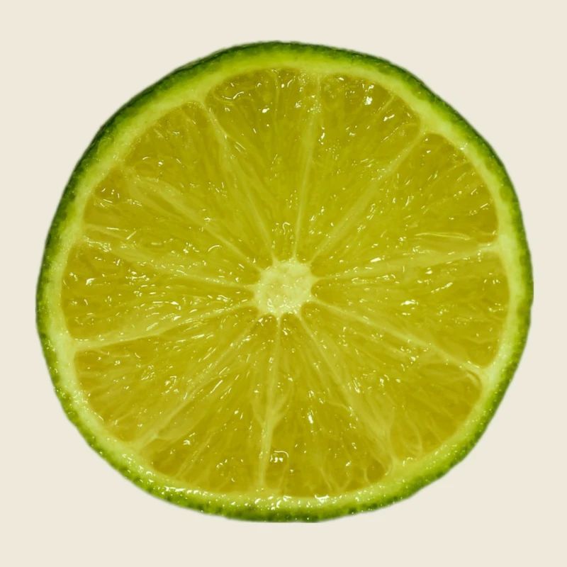 Lime Slice