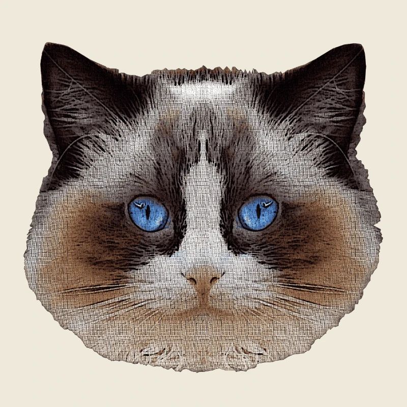 Ragdoll, samtpfote, Katzen design