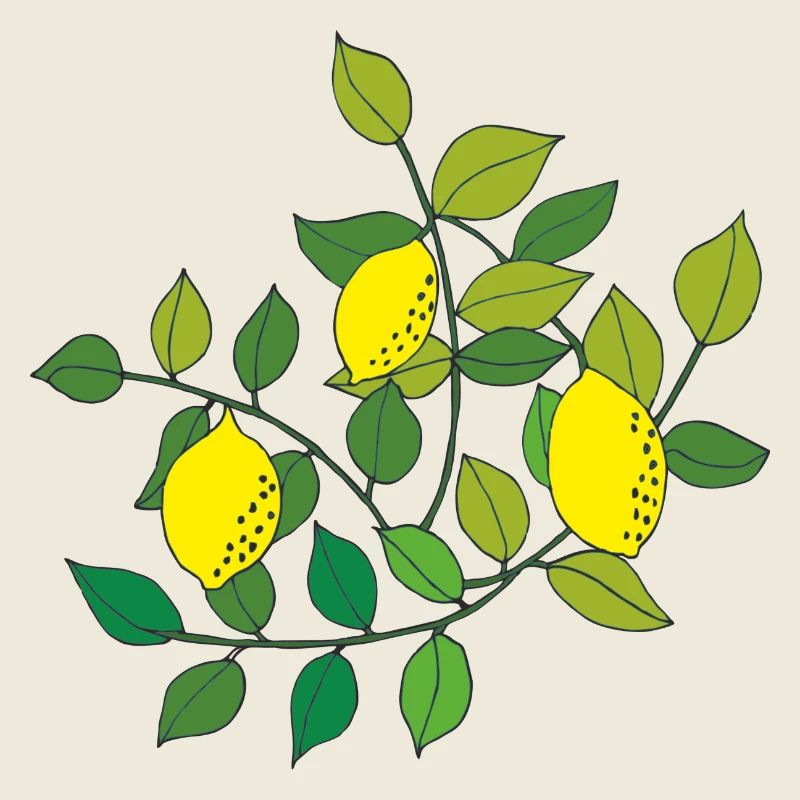 citronnier