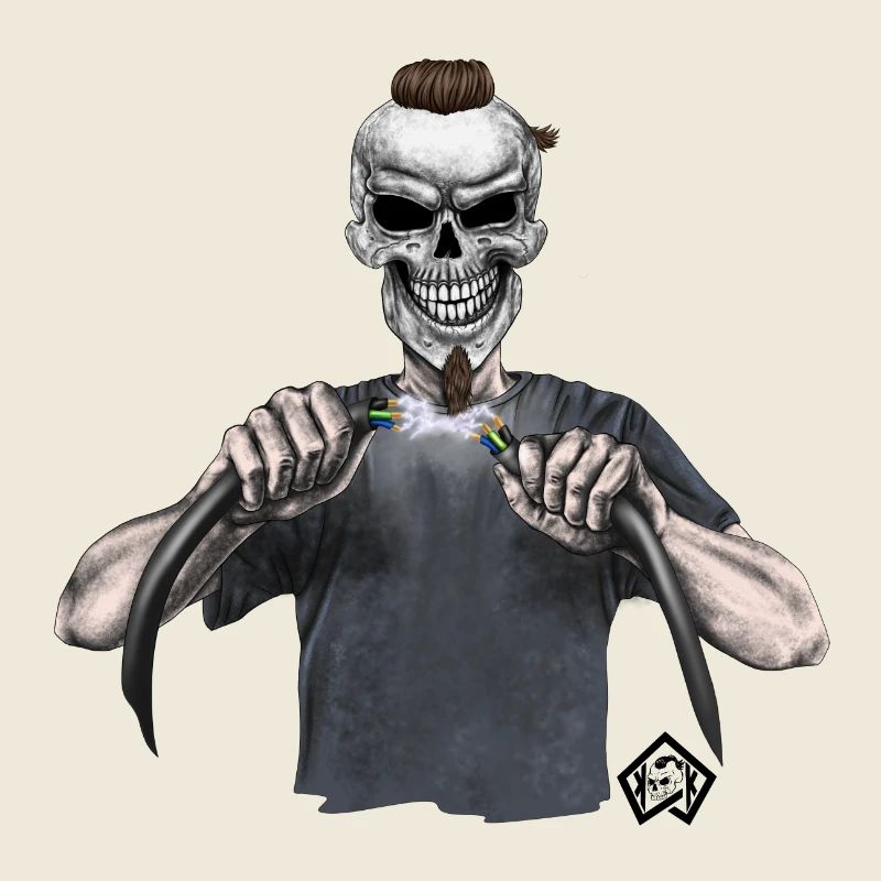 Electrician, master electrician, mechatronics engineer