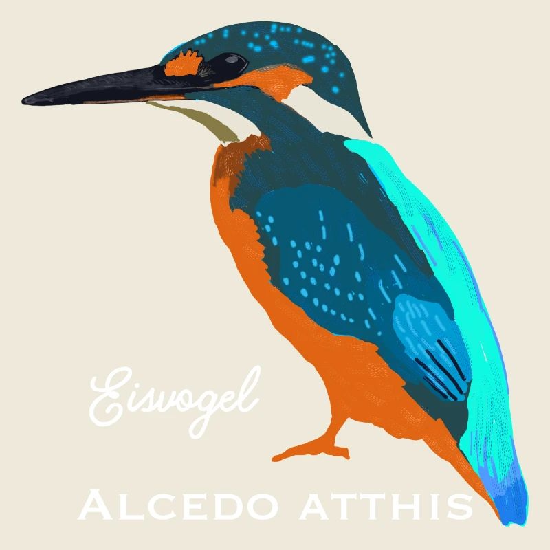 Kingfisher, scientific / German name