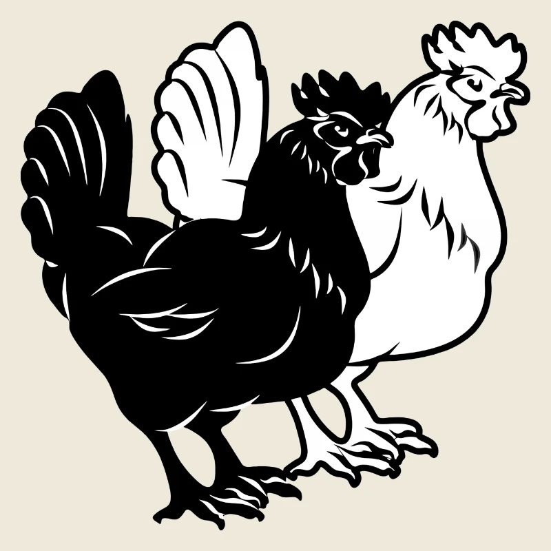 Two chickens