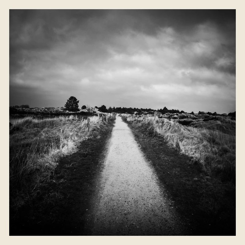 Path Path St. Peter Ording Dunes North Sea Poster