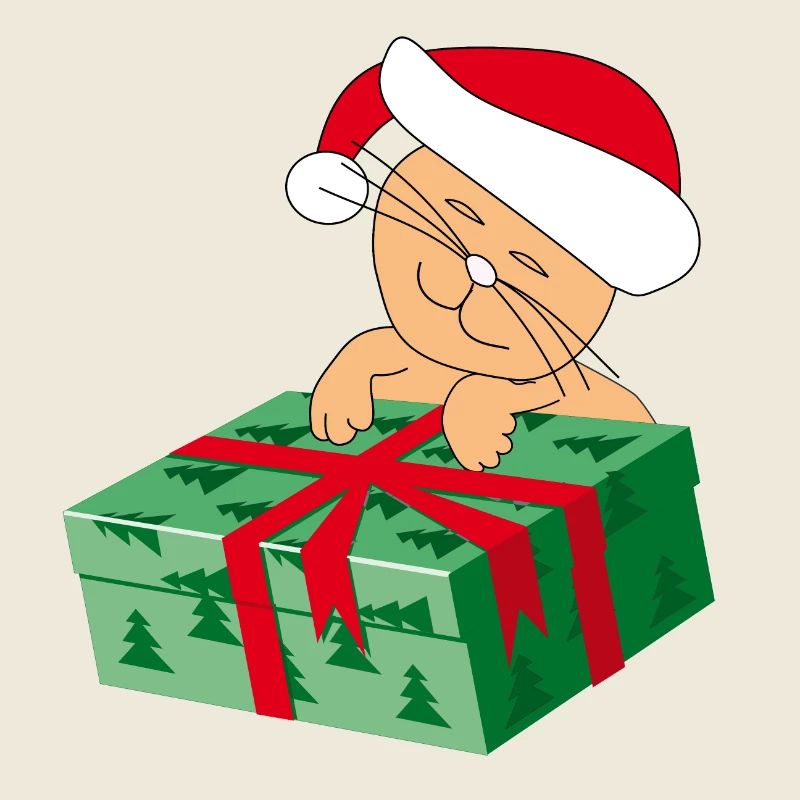 Chat heureux Katze avec un cadeau