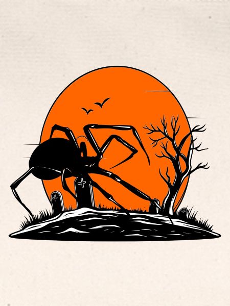 Spinne