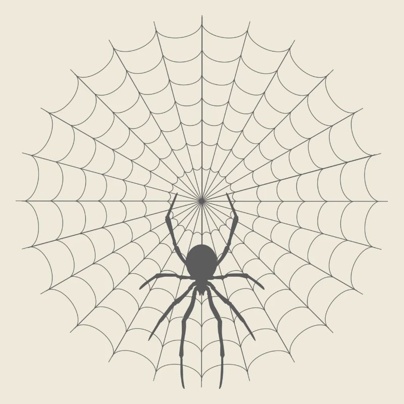 Silhouette de toile d’araignée