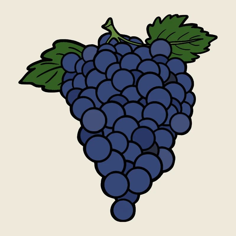 Delicious Fruit Grape