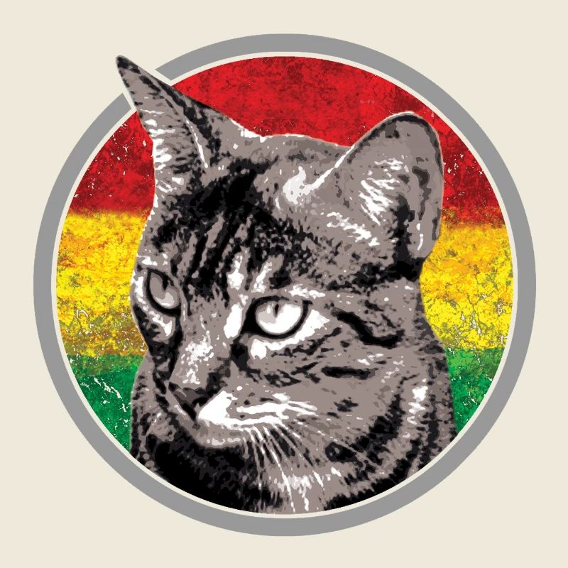 Chat avec des arrière-plans de drapeau