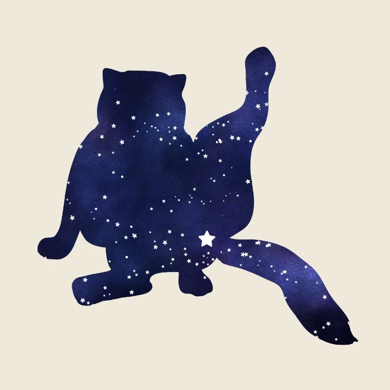 Silhouette de chat drôle ciel étoilé