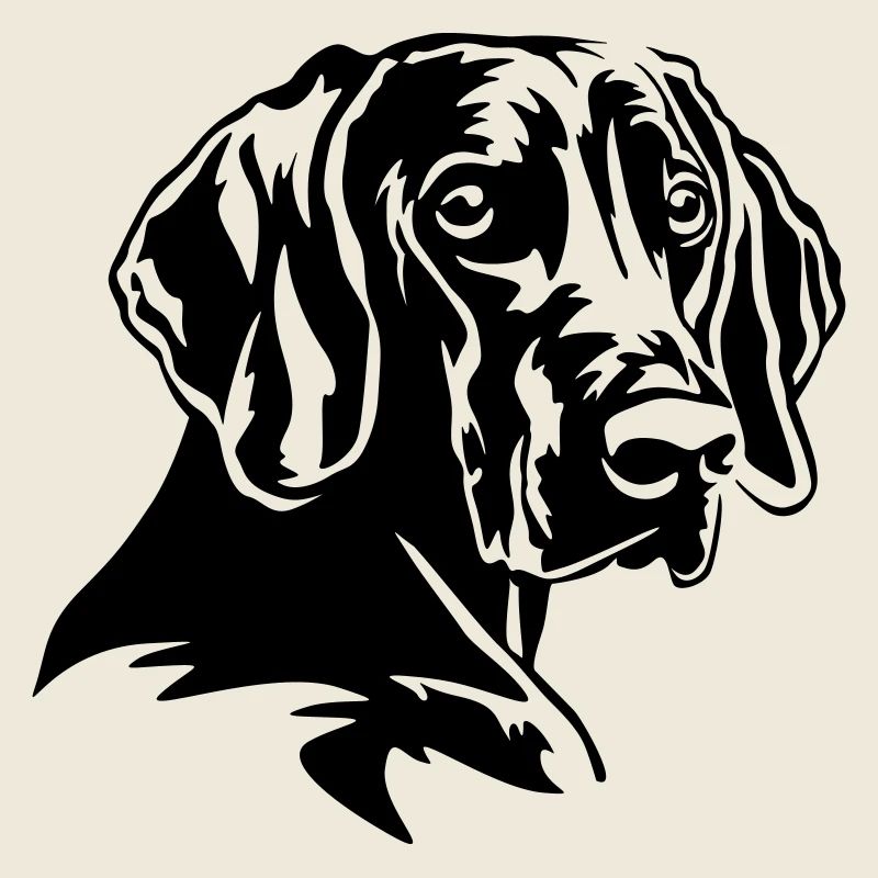 Weimaraner Head